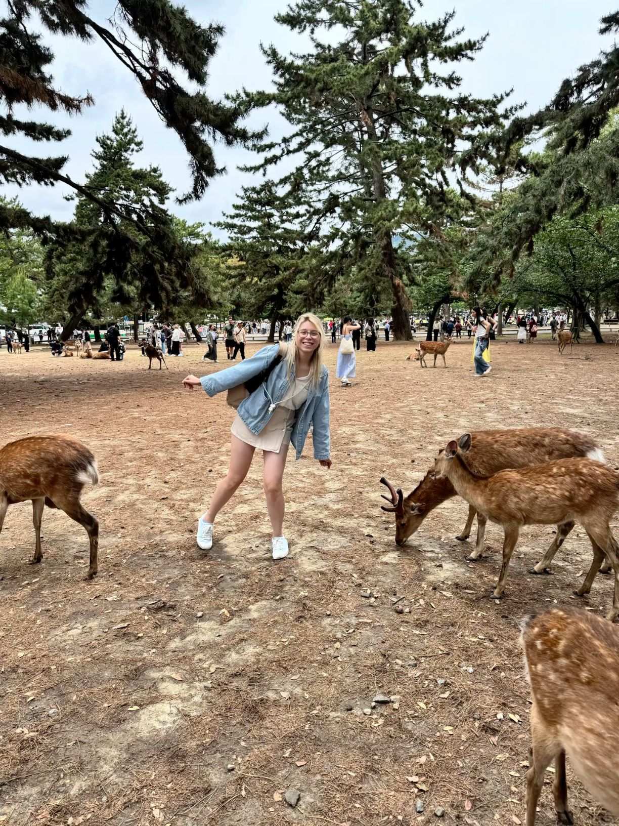 Suhe standing among deer in a tree-filled park